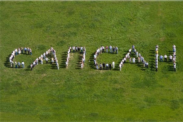 �� ������ ������