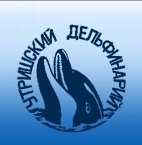 ���������� �����������